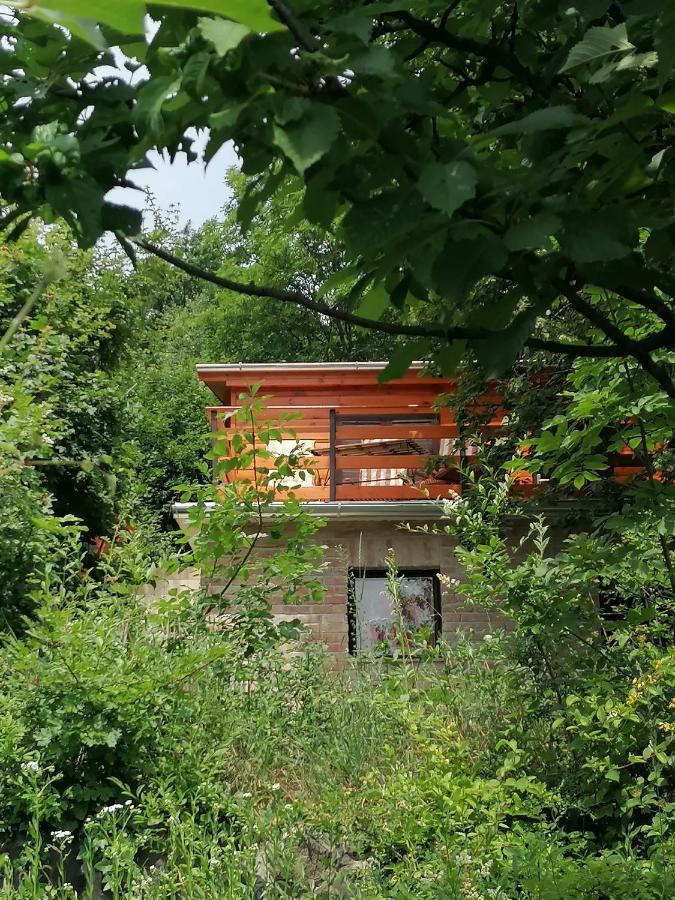 Barkoca Es Szepkilatas Vendeghaz / Cabin Verőcemaros Esterno foto