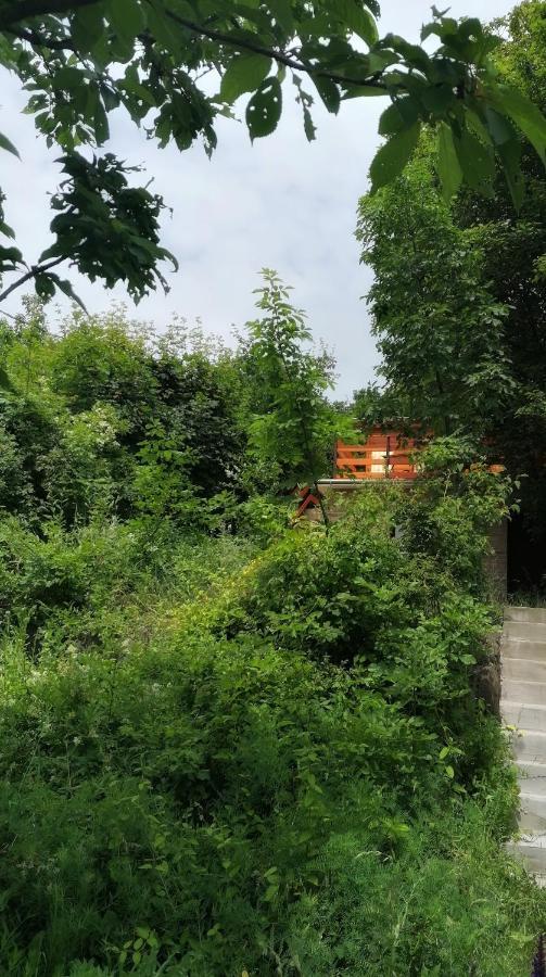 Barkoca Es Szepkilatas Vendeghaz / Cabin Verőcemaros Esterno foto