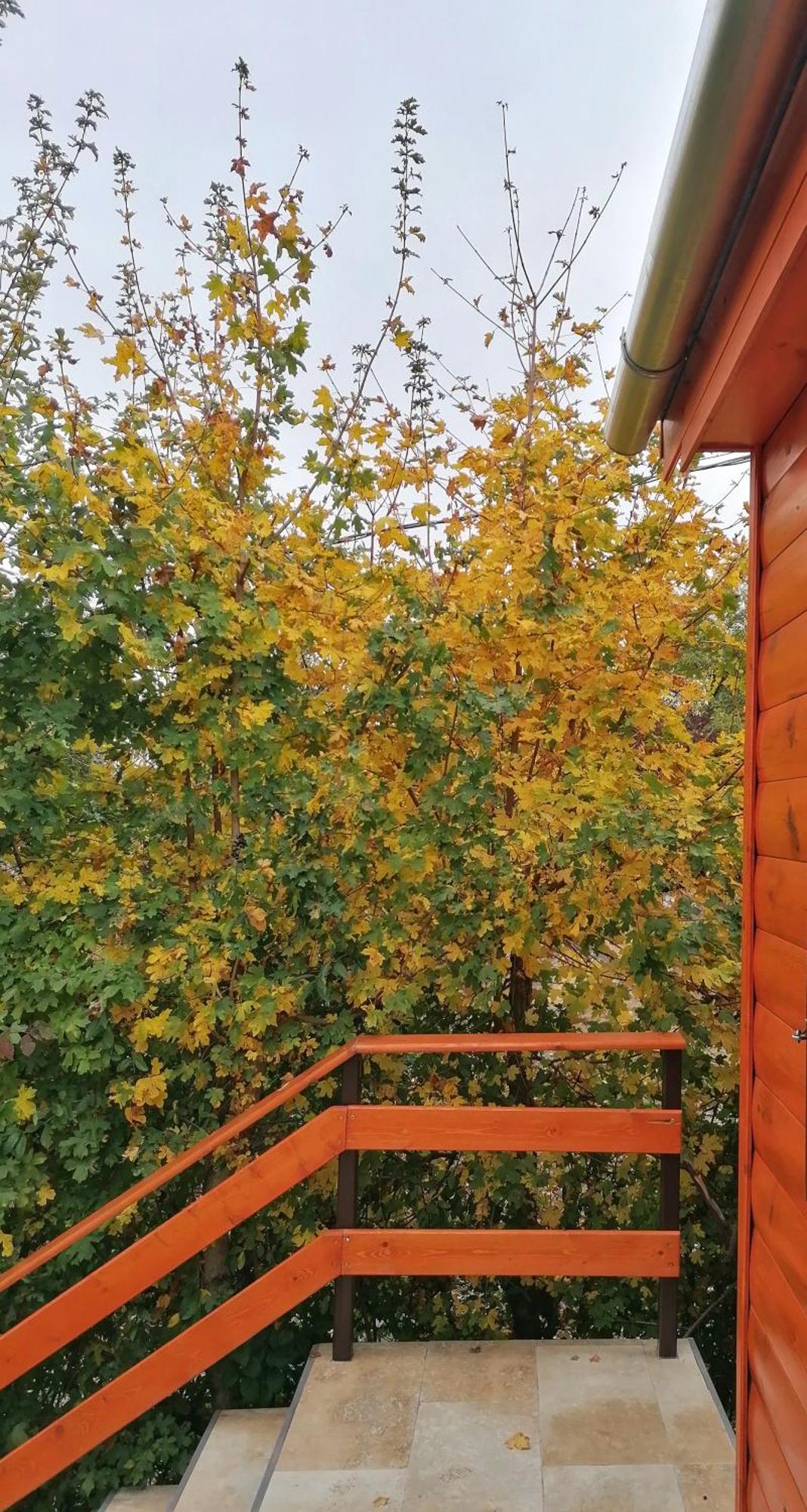 Barkoca Es Szepkilatas Vendeghaz / Cabin Verőcemaros Esterno foto