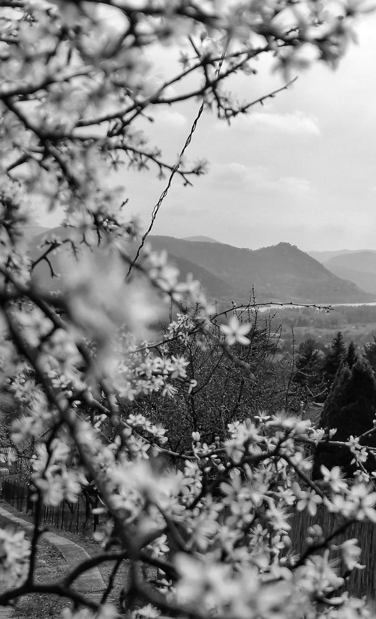 Barkoca Es Szepkilatas Vendeghaz / Cabin Verőcemaros Camera foto