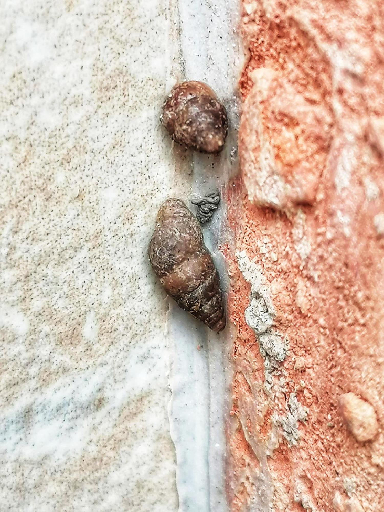 Barkoca Es Szepkilatas Vendeghaz / Cabin Verőcemaros Camera foto