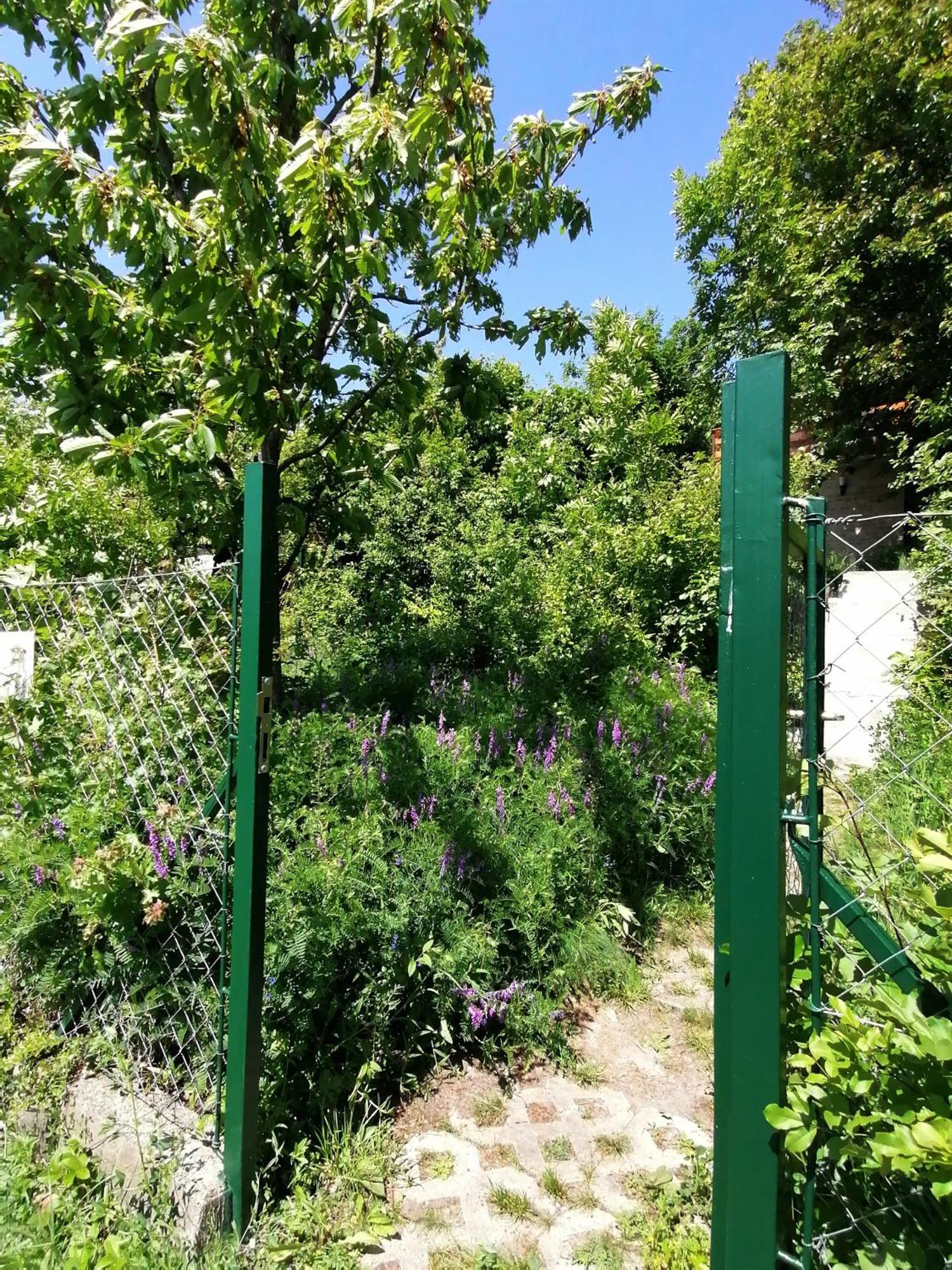 Barkoca Es Szepkilatas Vendeghaz / Cabin Verőcemaros Camera foto