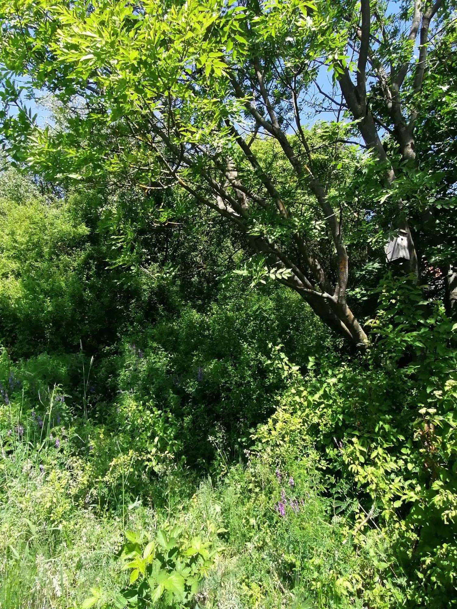 Barkoca Es Szepkilatas Vendeghaz / Cabin Verőcemaros Camera foto